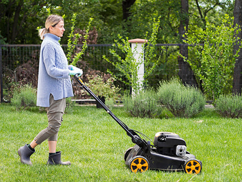 Tondeuse thermique en action sur un grand jardin